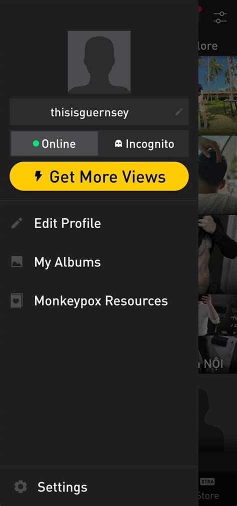 Locate the status bar below your display name. . Grindr incognito mode not working